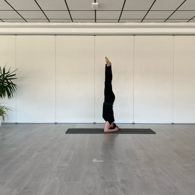 Salamba Sirsasana